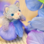 紫陽花猫ちゃんC