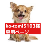 専用ページ