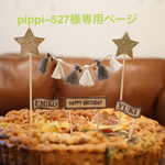 pippi−527様専用ページ