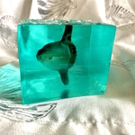 マンボウが泳ぐ海を切り取りました