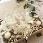 ホワイトシルバーデージーとコロコロ千日紅＊ハーバリウム 花材ドライフラワー  花材セット