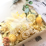 ビタミンカラー！シルバーデージーとセンニチコウフラワーパーティー花材詰め合わせ