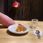 ミニチュア【カレーライス（福神漬け付）】（陶器皿30㎜）（観賞用）