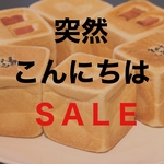 突然こんにちはSALE【12個セット】おまかせキューブパン