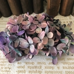再販❣️珍色パープルバイカラーアジサイ小分け❣️ハンドメイド花材プリザーブドフラワー