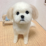オーダー品✩シーズーちゃん✩羊毛フェルト