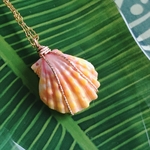 Hawaiian sunrise shell necklace