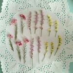 押し花素材　No174　ライスフラワーHBスターチスのセット 　ドライフラワー
