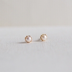 【受注制作】- 18KGP - Petit Pearl ピアス 