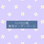 🦢ts1002様専用オーダーページ🦢