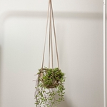 送料込み　レザー　プラントハンガー