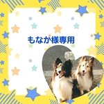 もなか様専用