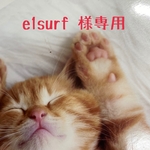 e1surf様専用