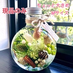 ハーバリウム《森のおはなし》ネコ瓶　Mサイズ　【現品】