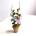 朝顔鉢植え　ブルーと紫　ミニチュア
