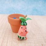 スイカマンドラゴラ(8/5再販)