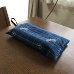 ティッシュカバー✳︎壁掛けタイプ✳︎ミナペルホネン choucho  ブルー　チェック