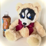 大きめのくまの着ぐるみ🧸　ハスキー犬🐶　座高約30cm 羊毛フェルト　フサフサ植毛あり