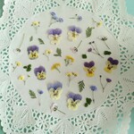 押し花素材　No175　ミニビオラのミックスセット