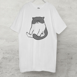 エキゾチックショートヘア　Tシャツ（ホワイト）猫