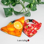 フルーツまみれバンダナ付き猫首輪🍊🍓