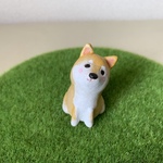 小ちゃい小ちゃい柴犬くん