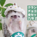 ハリペチーノ、ハリバックス全セット