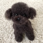 羊毛フェルト　犬　トイプードル【黒】