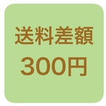 《送料差額》