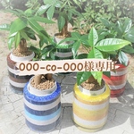 000-co-000様専用ページ