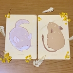 チンチラ＆デグーの角丸ポストカード2枚セット＊*