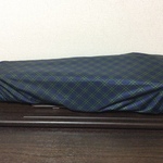 ヴァイオリンレインカバー♫グリーンチェック