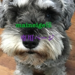 maineige様専用