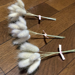 macoronが作ったふわっふわのラグラスドライフラワー