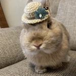 ウサギ用ミニ帽子