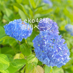 eko48様専用ページです。                                            よろしくお願いいたします(*´︶`*)♥️