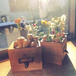 🔖  small&small  flower  🔖