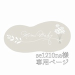 se1210na様専用ページ