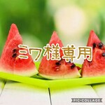 ミワ様専用