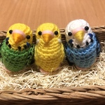 しめじさま専用♡セキセイインコちゃんセット