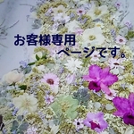 押し花素材(ペビリアンデージー20リン)