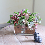 魔女の花束植えパフェ　スクエアグラス