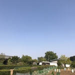 yume821様専用ページです