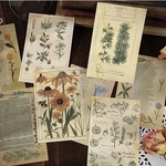 海外　紙モノ　カラー　洋書　花　植物　60枚セット