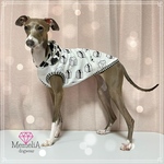 イタグレ用犬服🐕牛ちゃんタンクトップパワーアップ🐮ミルク坊やタンクトップ🥛✨