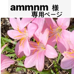 お客様専用ページ