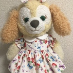 sサイズクッキーアン着用可能コスチューム