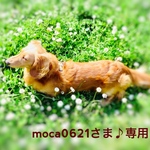 mocaさま♪専用
