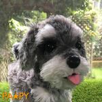ミニチュア・シュナウザーのココナッツちゃん♪　あみぐるみ