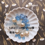 専用ページ